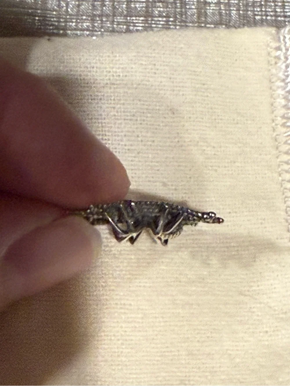 Arrok intricate spider